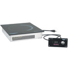 Countertop Induction Ranges and Induction Cookers