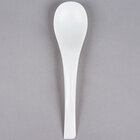 Biodegradable and Compostable Flatware and Utensils