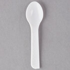 Disposable Petite Plastic Dinnerware and Accessories