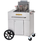 Outdoor Steamers and Outdoor Fryers