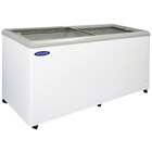 Glass Top Display Freezers