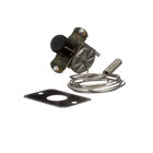 Hot Side Electric Thermostats