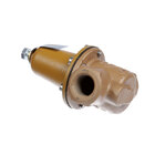 Pressure and Temperature Relief Valves