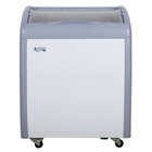 Glass Top Display Freezers