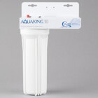 Water Filtration Systems and Cartridges for Ice Machines