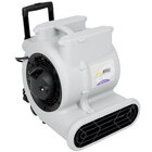 Air Blowers and Carpet Dryers