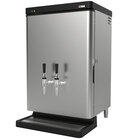 Cold Brew and Iced Coffee Machines / Dispensers