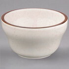 Homer Laughlin Sand Dunes Speckled China Dinnerware