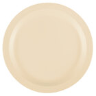 Polycarbonate Dinnerware and Mugs
