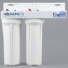 Water Filtration Systems and Cartridges for Steam Equipment