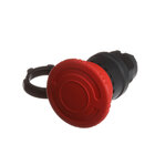 Round Push Button Switches