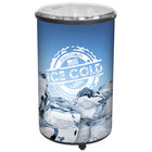 Ice Bin Merchandisers and Coolers