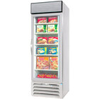 1 Section Glass Door Merchandising Freezers
