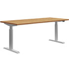 HON Coze Coordinate 48" x 24" Natural Recon / Silver Height-Adjustable Desk