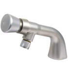 Metering Faucets