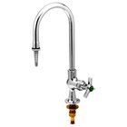 Laboratory Faucets and Gas Fixtures
