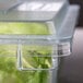 a plastic container with green leaves inside