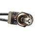 A close-up of a black metal Nemco 120V toggle switch.