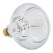 A Nemco 47456 clear light bulb with a gold base.