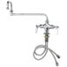 A chrome T&S deck-mounted pantry faucet with a hose.