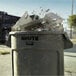 A Rubbermaid gray plastic trash can filled with debris.