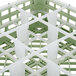 A Vollrath light green plastic glass rack with nine compartments.