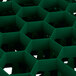 A green plastic grid with 30 black compartments.