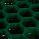 A green plastic container with hexagons inside.