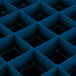 A blue plastic grid with 49 square compartments.