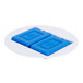 A blue Cal-Mil container with two blue ice packs inside.