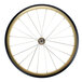 A white bicycle wheel with a black rim and black spokes.