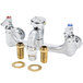 A T&S chrome service sink faucet with two brass nuts.