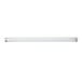 A white fluorescent tube with silver tips.