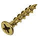A close-up of a gold metal screw.