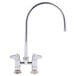 A chrome Equip by T&S deck-mounted faucet with a 9" gooseneck spout and lever handles.