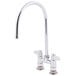 A chrome Equip by T&S deck-mounted faucet with 9" gooseneck spout and lever handles.