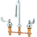 A white T&S medical lavatory faucet with 4" wrist action handles and rosespray.