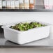 A Carlisle white container with green and red lettuce inside.