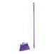 A purple broom with long bristles.