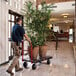 A man pushing a Rubbermaid platform truck with a large plant in a pot.