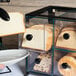 A person holding a piece of bread in a glass case.