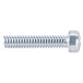 A close-up of a Waring screw with a hex head.
