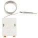 A small white rectangular thermostat with metal wires.