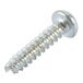 A close-up of a Waring Motor and Base Screw with a metal head.