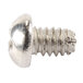 A close-up of a silver Waring screw.