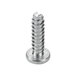 A close-up of a metal screw.