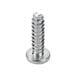 A close-up of a metal screw.