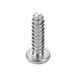 A close-up of a metal Waring screw.