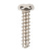 A close-up of a Waring screw.