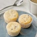 A plate with three blueberry muffins next to a cup of coffee.